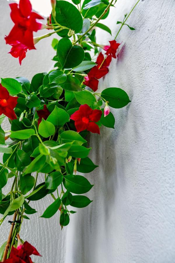 Antonella Home B&B Bari Exterior photo